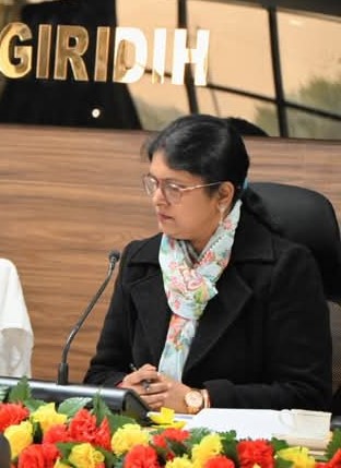 Deputy Development Commissioner